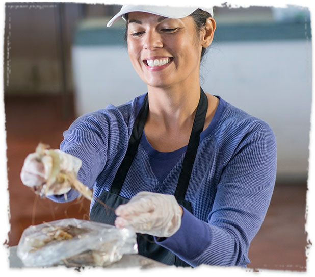 Wholesale Seafood Handler